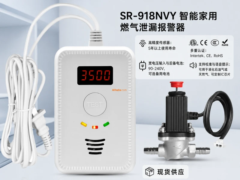 SR-918NVY 工厂定价数字LCD液化石油气阀门系统WiFi连接智能家居安全气体泄漏报警器